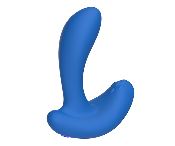 anal01 img02