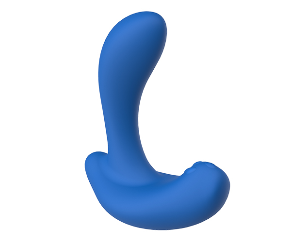 anal01 img03