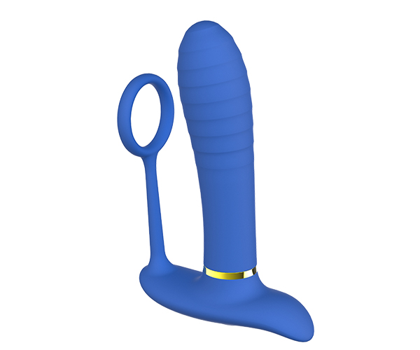 anal03 img01 2