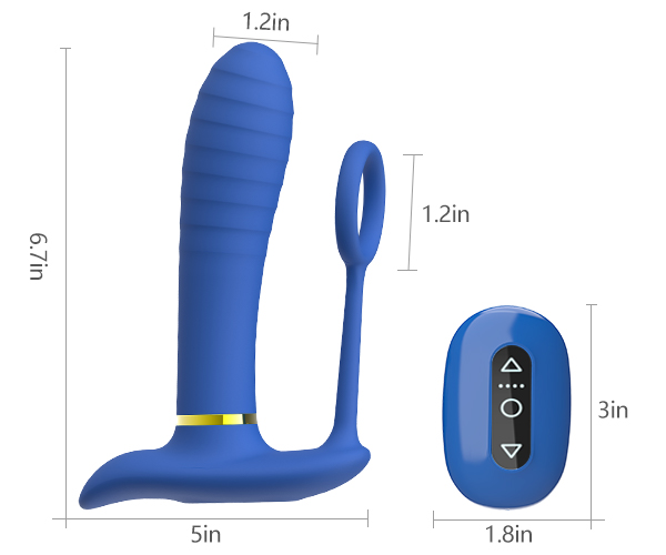 anal03 img05 3